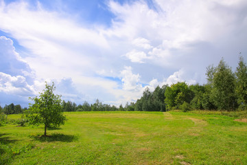 Summer landscape in Latvia, East Europe. Green field and forest.