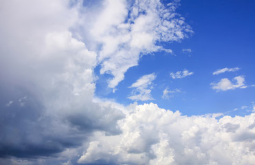 Naklejka na ściany i meble Blue sky with white clouds in summer day