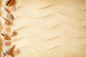 Fototapeta na wymiar Seashells on a sand background