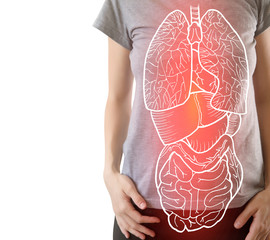 highlighted internal organs with some illness
