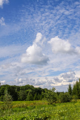 Summer landscape in Latvia, East Europe.