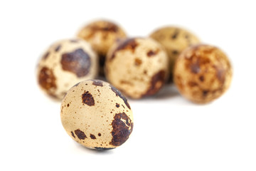 quail eggs isolated on white background. close up