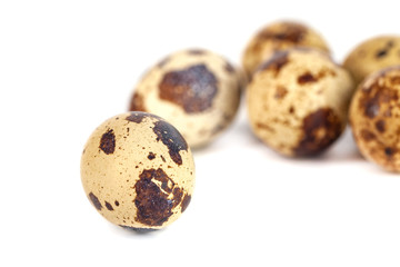 quail eggs isolated on white background. close up