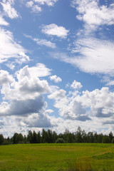 Summer landscape in Latvia, East Europe