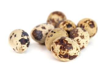 Fototapeta premium quail eggs isolated on white background. close up