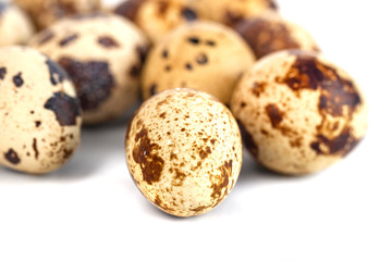 quail eggs isolated on white background. close up
