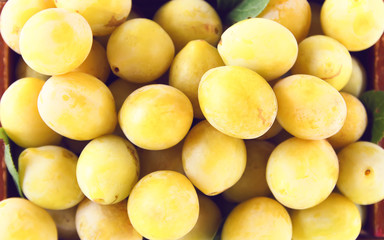 Fototapeta na wymiar Yellow plums close up. Sweet ripe fruits.