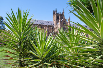 church behind trees