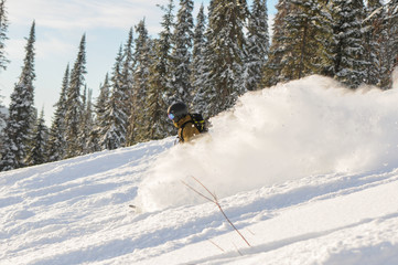 A snowboarder making a powder turn in deep snow on a forest meadow on a sunny morning
