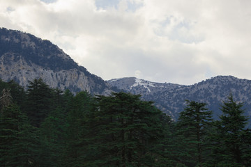 Obraz premium Mountains and forest under cloudy sky.