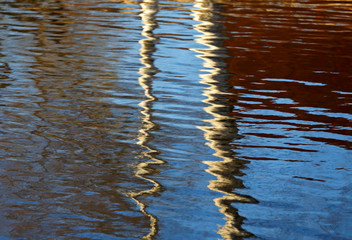 White tree trunks reflecting in the water in early spring 