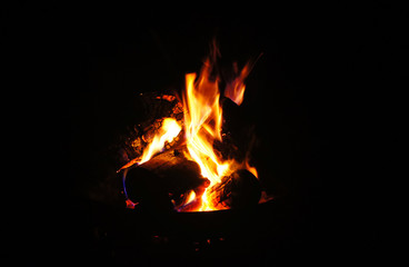 Fire isolated on black background. Isolated flame. Bright orange fire. Burning flame. Flames...