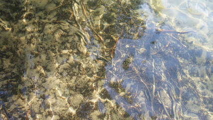 Transparent sand bottom of the lake in the sun.