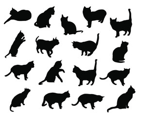 Set vector silhouettes of the cat, different poses, standing, jumping and sitting,  black color, isolated on white background