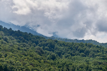 Naklejka premium High mountain with green slopes hidden in clouds and fog.