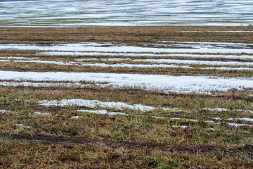 field with melting snow and last year's grass