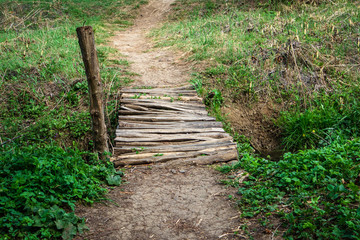 Small wooden bridge in a forest in early spring