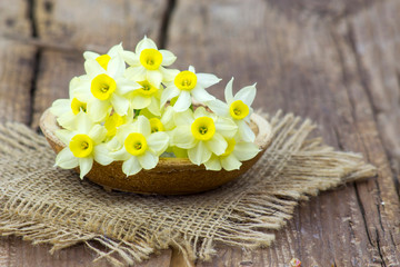 bouquet of narcissus flowers