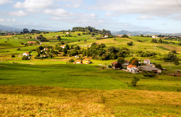 Forest in the meadow in Asturias in the north of Spain in a sunny day