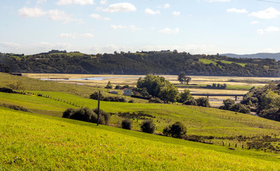 Meadows in the north of Spain in a sunny day