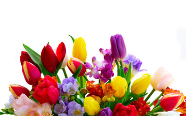 Obraz na płótnie Canvas fresh tulips flowers