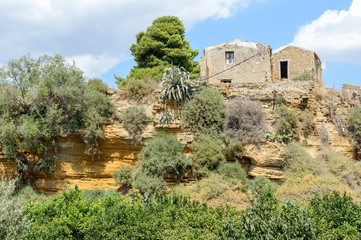 The Kolymbetra gardens in Sicily