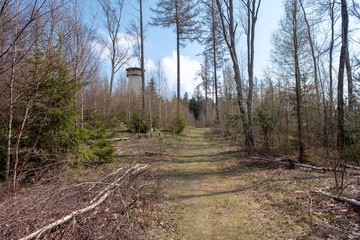 Wanderweg zur Thüringer Warte