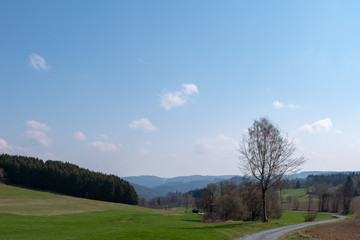 Fototapeta na wymiar Blick vom Märchenwaldweg zur Burg Lauenstein