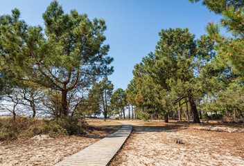 BASSIN D'ARCACHON (France), site naturel de Saint-Brice