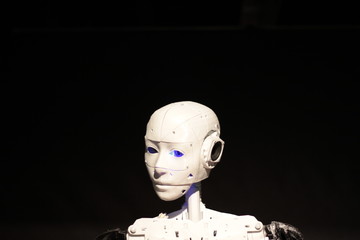 japanese robot portrait