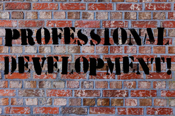 Text sign showing Professional Development. Business photo text learning earn maintain professional credentials Brick Wall art like Graffiti motivational call written on the wall