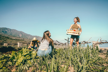 Happy young friends working together harvesting fresh fruits and vegetables in farm garden house - Agriculture, people, healthy, work and vegetarian lifestyle concept