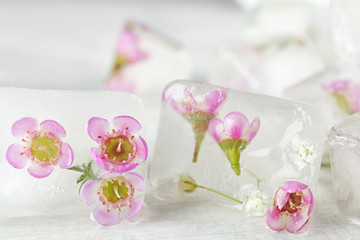 Floral ice cubes on table, closeup view