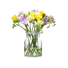 Naklejka na ściany i meble Bouquet of fresh freesia flowers in vase isolated on white