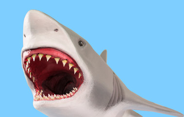 stuffed shark with open mouth. isolate on blue background
