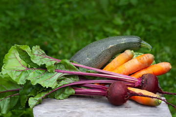 Mix of fresh organic vegetables on natural green background. Harvested carrots, zucchini, beetroots, chard on a wooden board, rural composition
