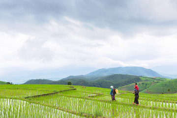 A family of tribal rice farmer, his wife and taking his son in his neck, walking their ricefield during raining. They are watching their crops