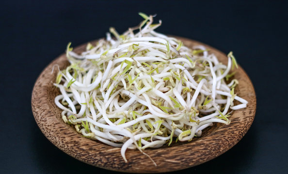Mung bean sprouts or tauge on wood background.