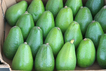 fresh avocado for food texture