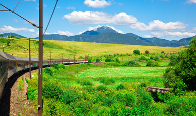 Beautiful summer landscape with moving train