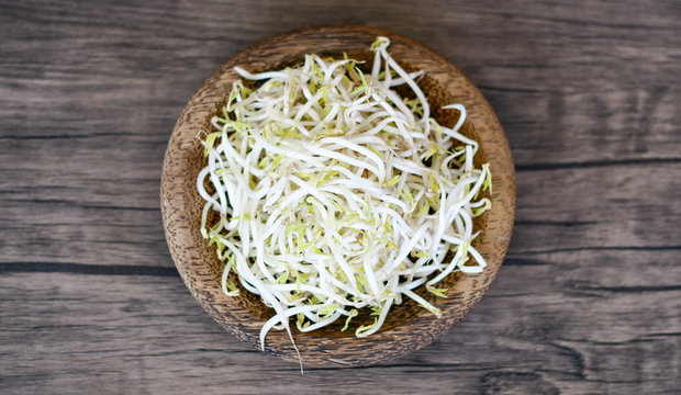 Mung bean sprouts or tauge on wood background.