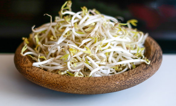 Mung bean sprouts or tauge on wood background.