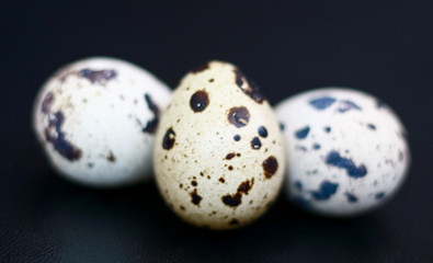 Quail Eggs on black background. Quail eggs help to improve metabolism, reduce blood pressure, improve allergy symptoms, and prevent chronic diseases.