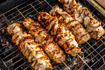 Traditional shashlik cooking on a grill isolated