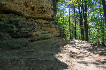 Wood and rock landscape in Bohemian Switzerland, national natural area with amazing nature, Saxon Switzerland National Park