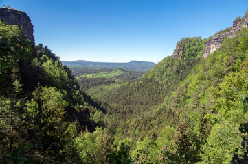 Wood and rock landscape in Bohemian Switzerland, national natural area with amazing nature, Saxon Switzerland National Park