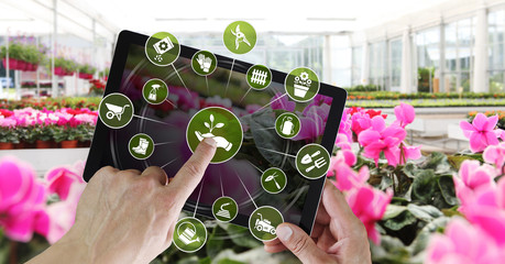 gardening equipment e-commerce concept, online shopping on digital tablet, hand pointing and touch...