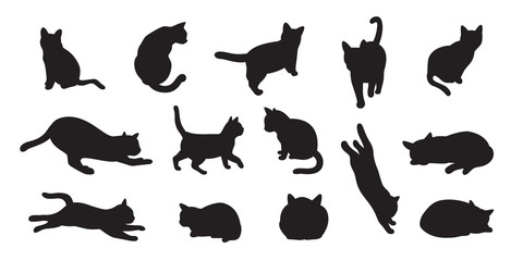 cat vector kitten calico pet cartoon character illustration Silhouette