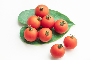 Close up tomatoes in green leaf on isolate white background.Selective focus red tomatoes.	