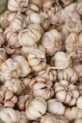 Garlic head for cooking at street food